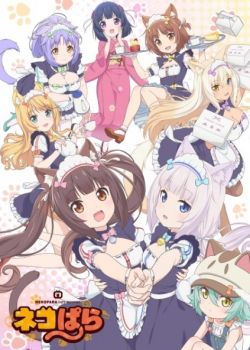 Phim NekoparA (TV)